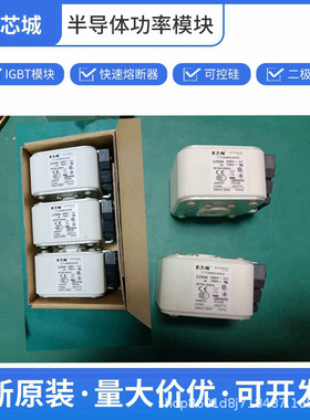 170M6466 高压户外熔断器170M3815D 保险丝 170M3812D巴斯曼 数量
