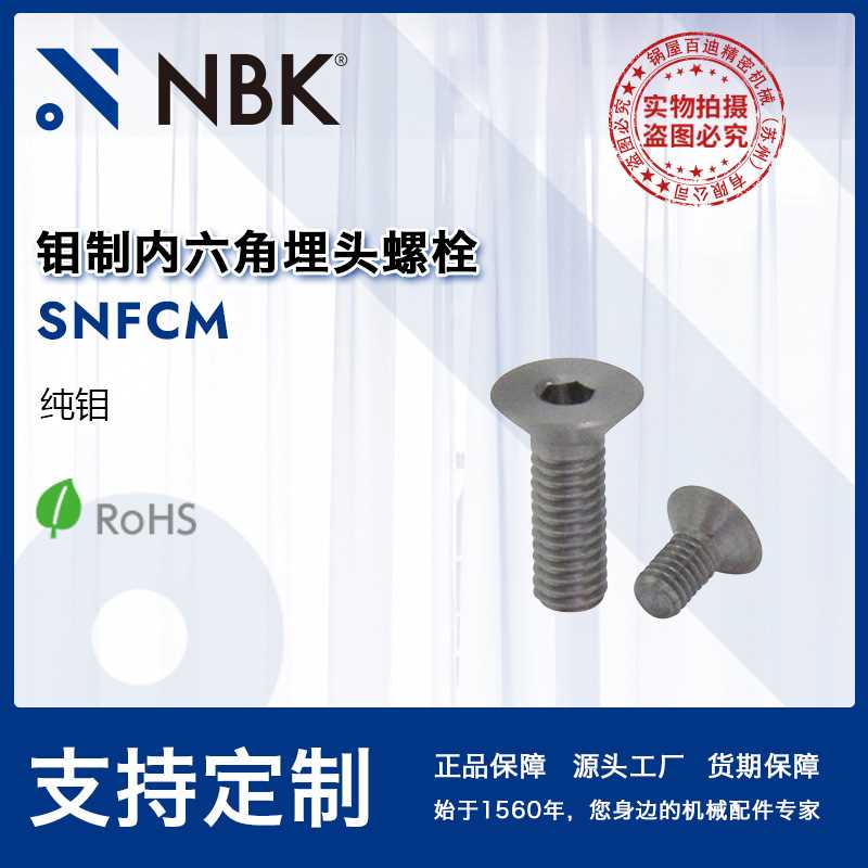 NBK SNFCM 阴极溅镀装置高温炉用纯钼内六角埋头螺栓 紧固件厂家