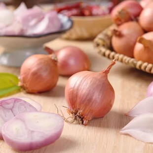东北特产小洋葱大毛葱红葱头洋葱农家种植正宗春季毛葱头鬼子珠葱