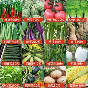 16种春季 豇豆西瓜辣椒番茄农家菜种 蔬菜种子套餐丝瓜黄瓜茄子四季