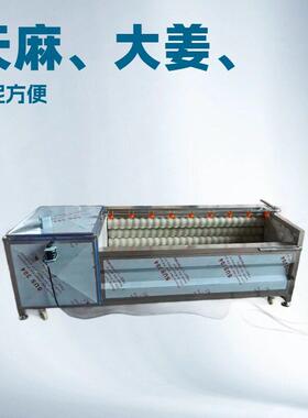 天麻去皮清洗机水果全自动毛辊清洗机大姜去皮机带喷淋
