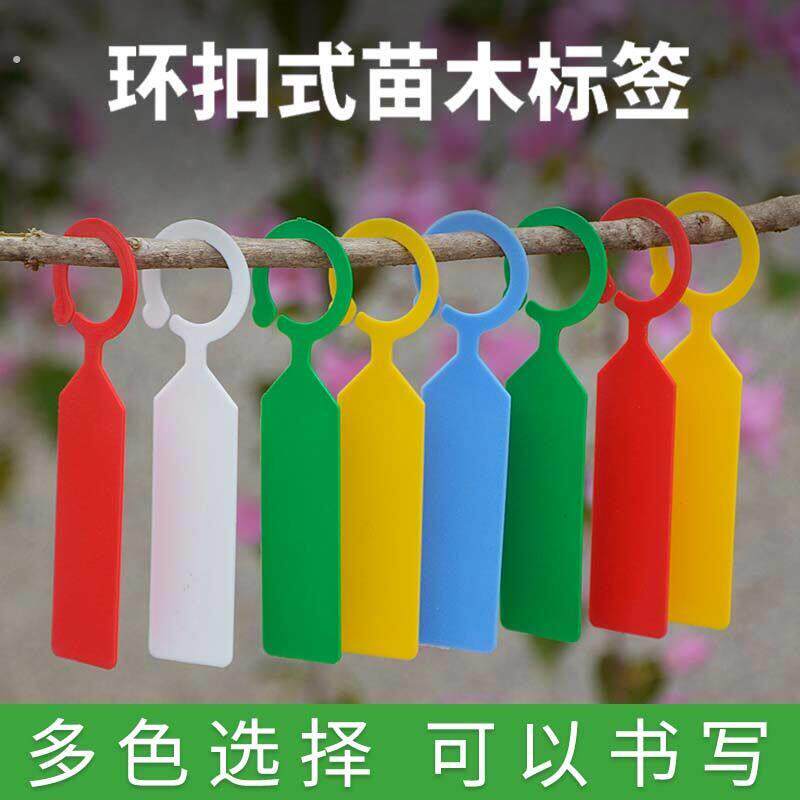 园艺标签牌环扣塑料防水苗木葡萄果树授粉标记藤曼分类色卡悬挂式