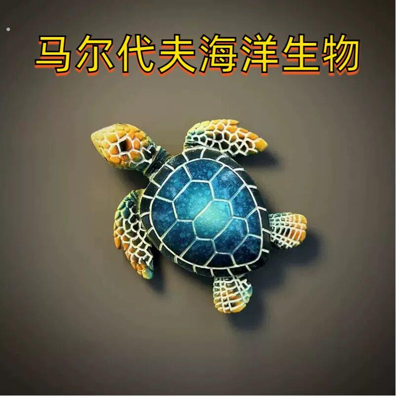 马来西亚沙巴州仙本那旅游纪念品创意立体海龟装饰磁性冰箱贴礼物