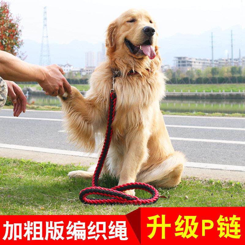 家用狗狗牵引绳八股编织狗绳牢固狗狗牵引绳子
