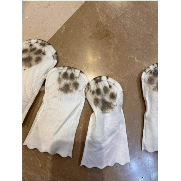 宠物狗狗一次性鞋套防脏脚套外出遛狗神器小狗袜子防水防脏滑鞋子