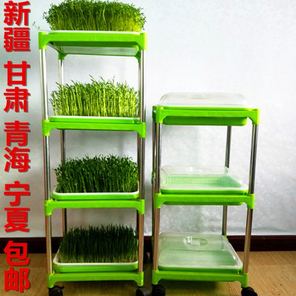 阳台蔬菜种植架芽苗菜育苗托盘无土栽培设备带盖保温豆芽发芽盆