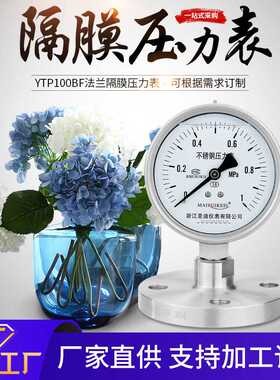 YTP100BF法兰连接dn25/dn50衬四氟316l不锈钢耐震隔膜压力表