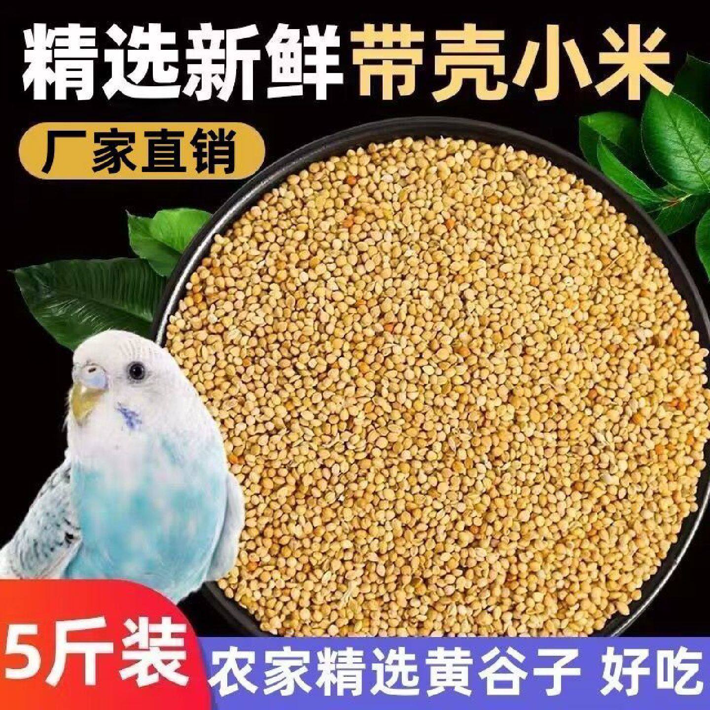 新黄谷子带壳小米虎皮牡丹玄凤中小型鹦鹉文鸟鸟粮鸟食饲料包邮