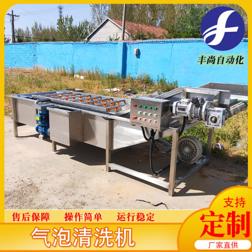 大型果蔬清洗机 全自动秋葵气泡喷淋清洗机 臭氧去农残洗菜设备