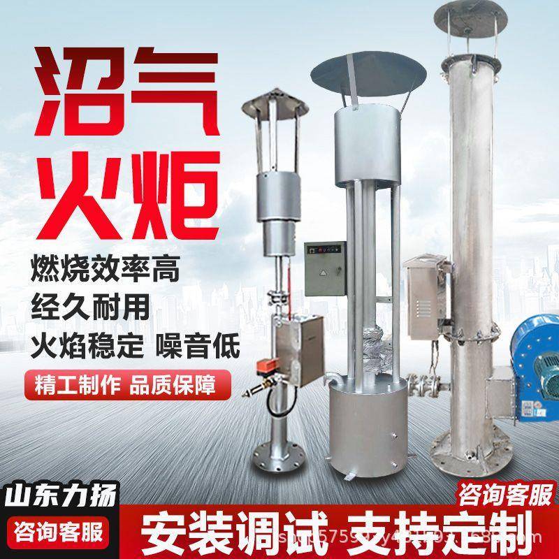 河南南阳不锈钢沼气燃烧火炬内燃式沼气火炬厌氧发酵沼气火炬