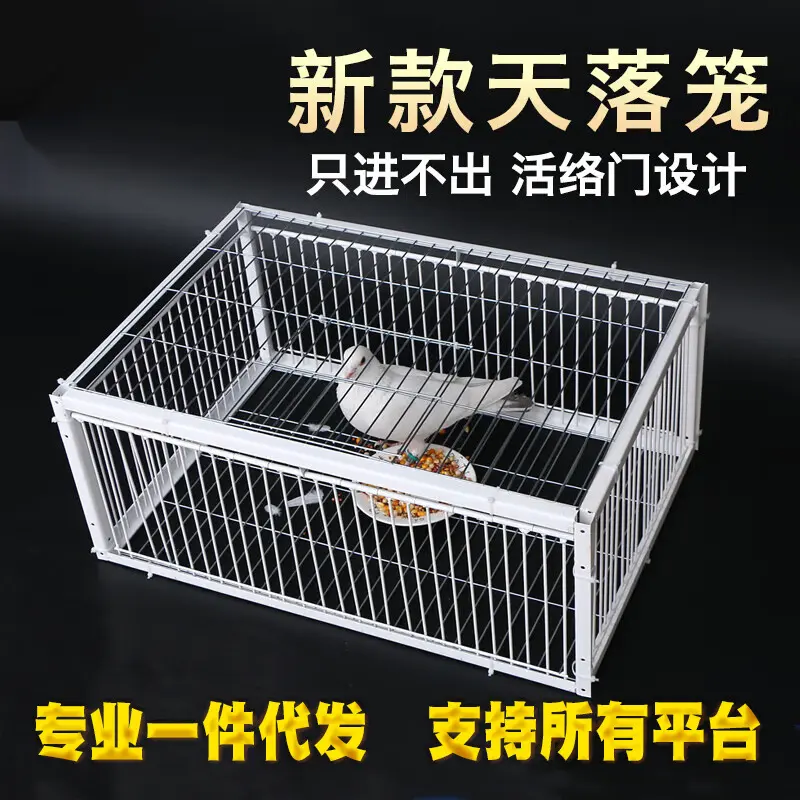 只进不出鸟笼全自动天落笼子撞门