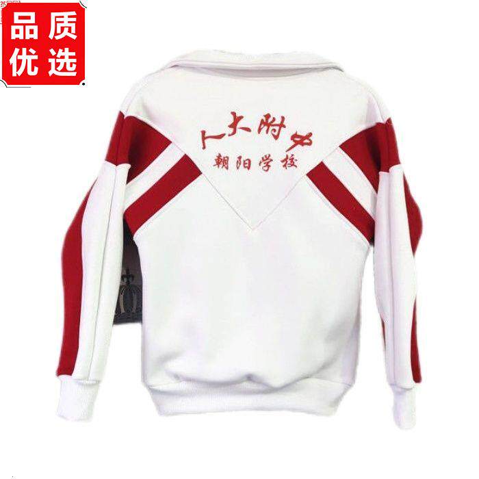 北京人大附中朝阳学校校