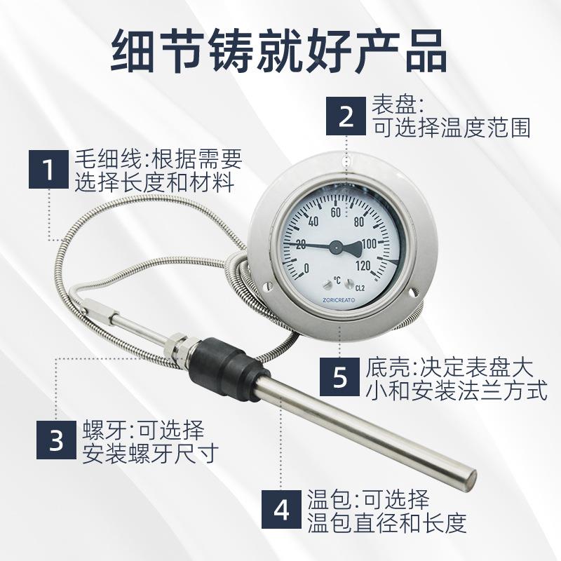 压力式温式度计高温型机械铠装软管度可TWD调节电接显点锅炉数温