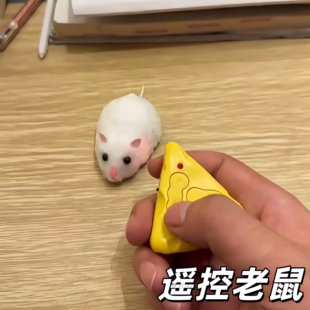遥控老鼠创意趣味抽象整蛊恶搞朋友仿真老鼠可旋转遥控解压小玩具