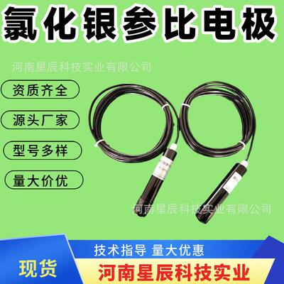 船用Ag/Agcl氯化银参比电极非水溶液用全固态银参比电极厂家现货
