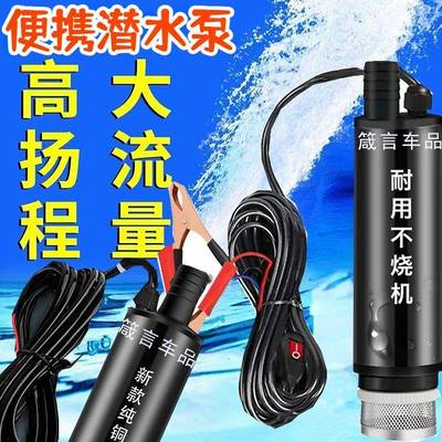 电动抽油泵12v柴油泵24v抽油器自吸泵家用抽油神器抽水泵油桶抽油