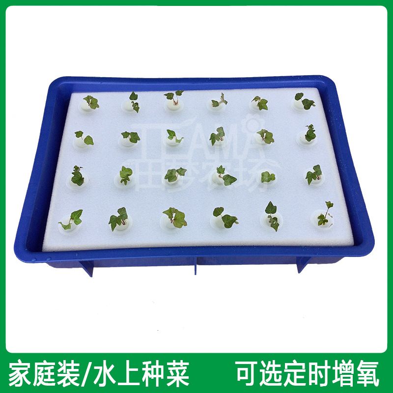 家庭水上种菜 带水箱漂浮定植板套装 温室无土栽培水耕水培设备
