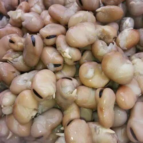 五香蚕豆五香味盐水下酒菜大全45到50岁蒸煮蚕豆绍兴茴香豆即食