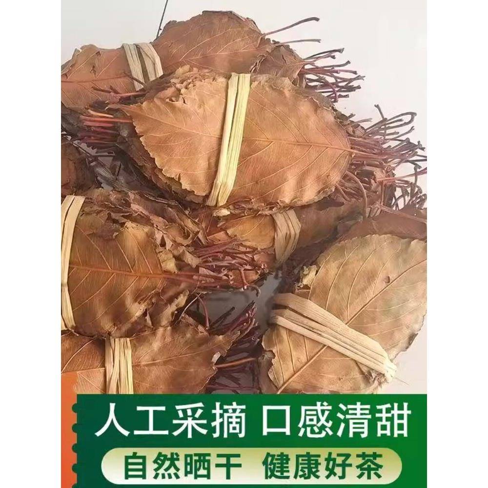 速发现货新货精选野生山楂叶500g广西桂林特产现货食用山楂叶泡水