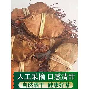 速发现货新货精选野生山楂叶500g广西桂林特产现货食用山楂叶泡水