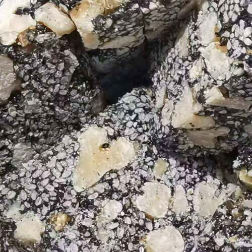 速发现货学记炒子坚果木糖醇花生脆片零蔗糖坚果小吃特色脆皮手工