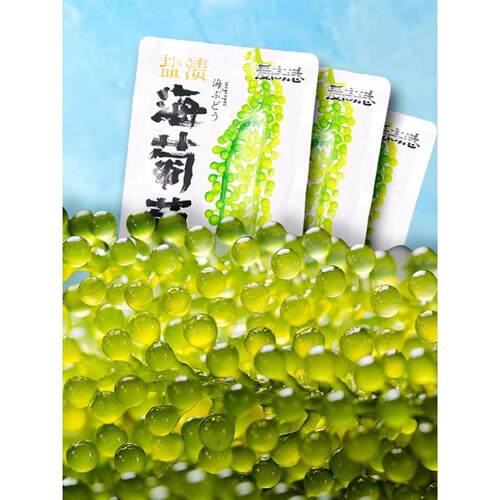 新货海葡萄即食绿色鱼子酱