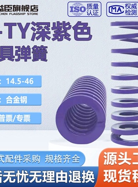 T-TY 深紫色弹簧合金弹簧模具弹簧矩形弹簧扁线弹簧耐热模具弹簧
