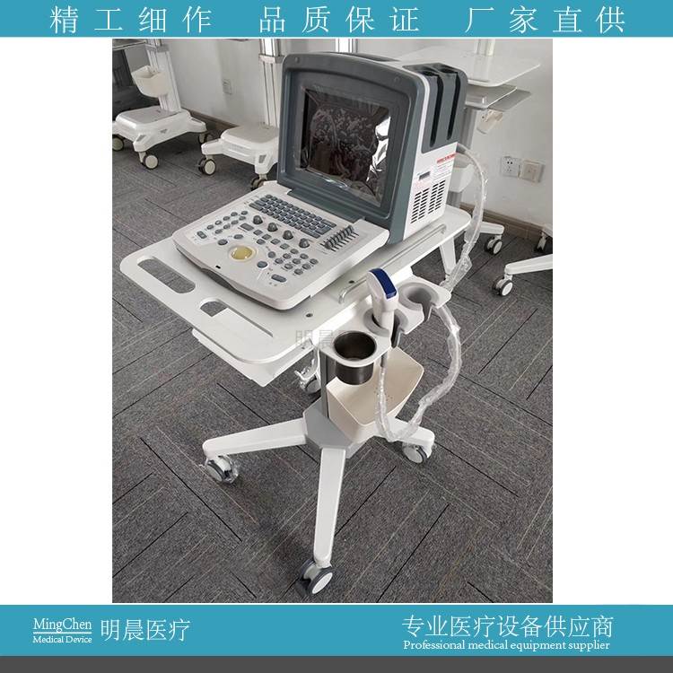 便携式彩超台车移动医疗超声机推车b超室黑白超仪器车打印机托板