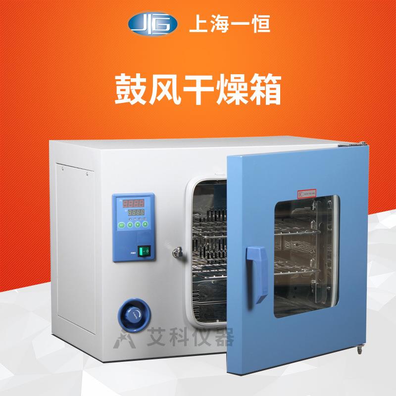 鼓风干燥箱实验室烘箱恒温箱工业烤箱DHG系列高温箱
