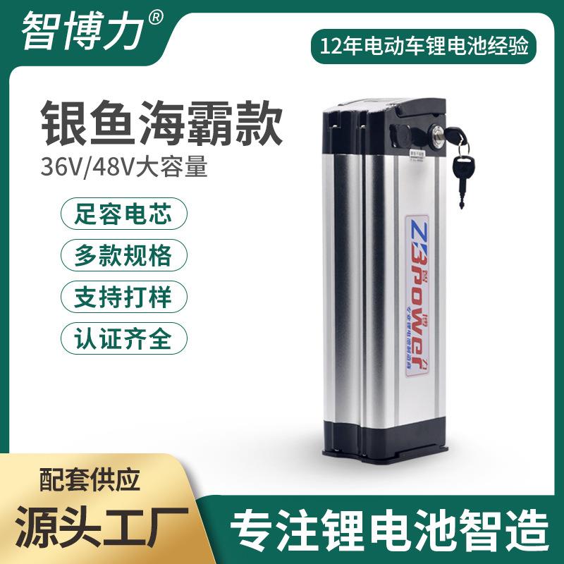 厂家直供48V20Ah电动车海霸银鱼锂电池外卖代驾折叠自行车电池组