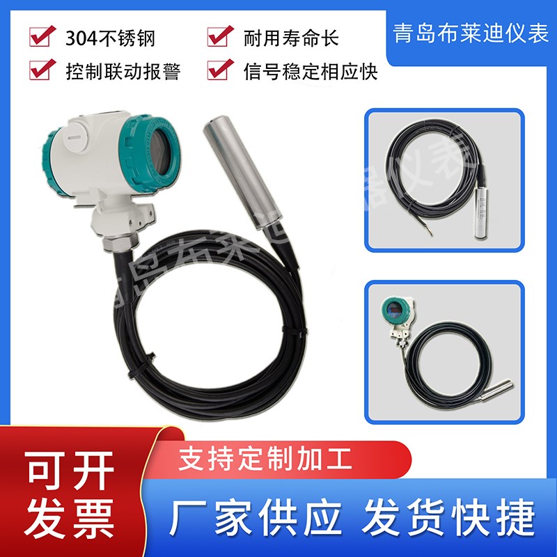 优选布莱迪2088分体投入式液位变送器数字现场显示0.5级精度防爆