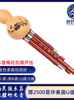优选葫芦丝红木梅花扣c调降b调D调G调F调民族风情彩画葫芦丝云南