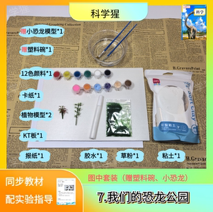 制作恐龙公园/我们的恐龙公园/恐龙 颜料 植物模型 KT板 报纸 胶水 草粉 粘土 塑料碗 刷子/科学猩实验材料