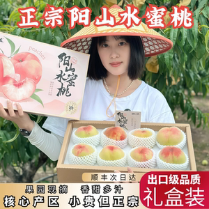 正宗无锡阳山水蜜桃白凤湖景桃软新鲜水果礼盒顺丰快递包邮