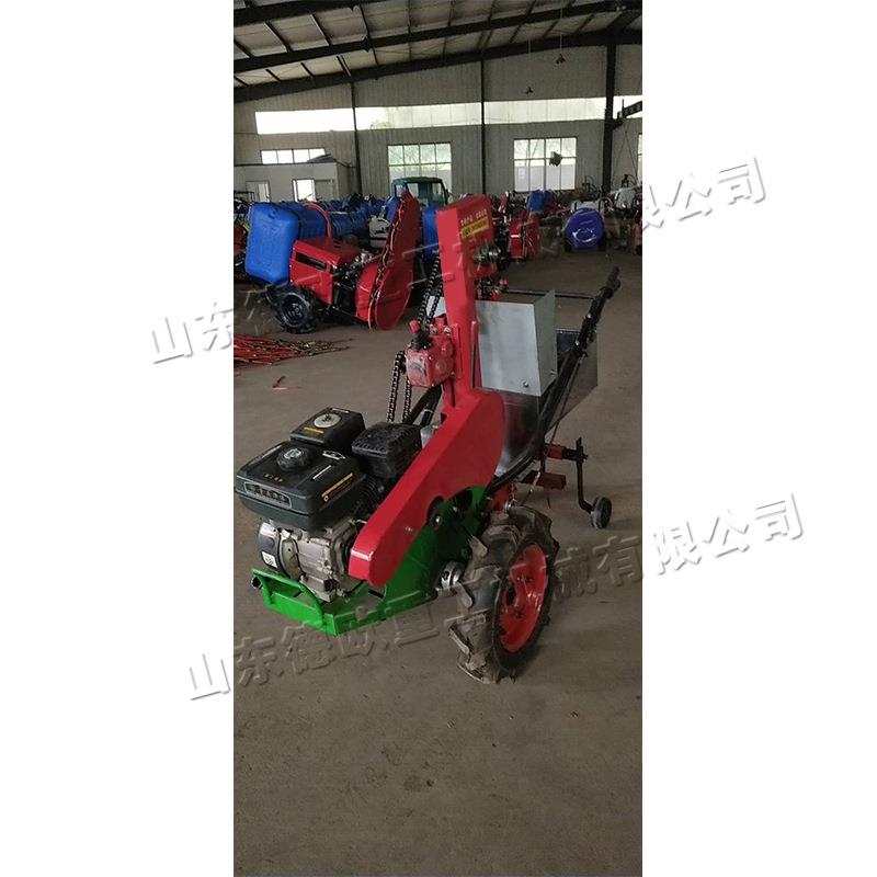 小型马铃薯土豆播种机 田间农用地蛋栽种机 汽油单行土豆播种机