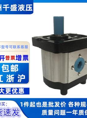 CBD-F563F31H4L SDH 液压齿轮油泵CBD-F550F31H4 CBD-F563F31H4