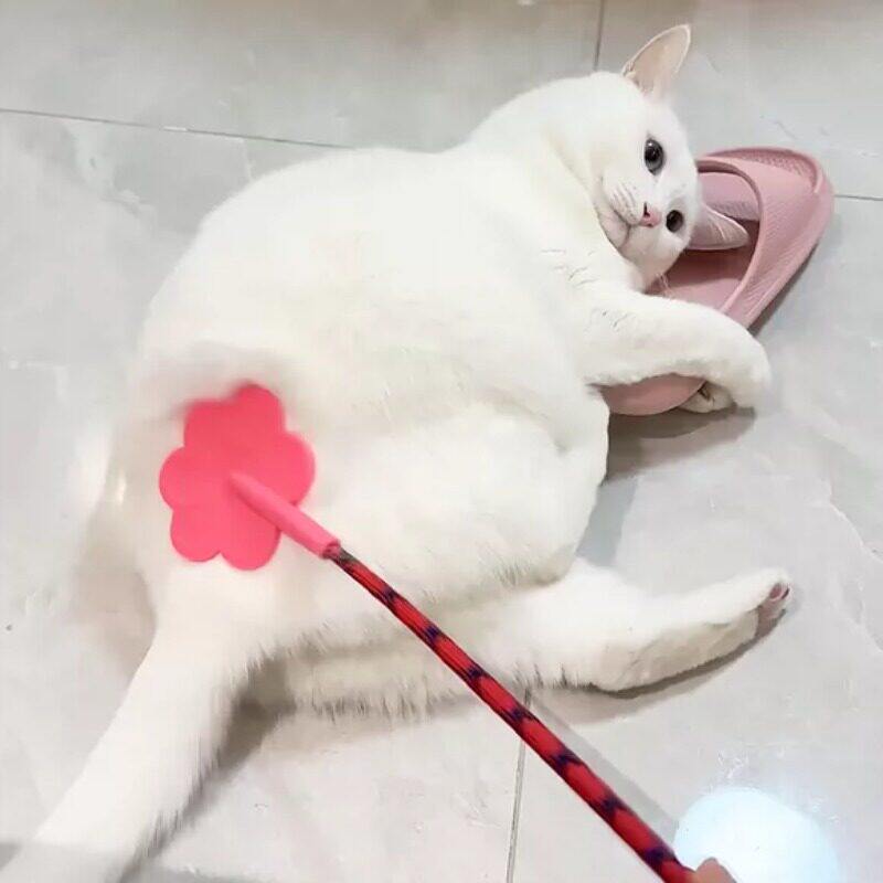 猫咪拍屁股玩具爱心拍子自嗨解闷神器逗猫棒宠物大小狗训练器教育
