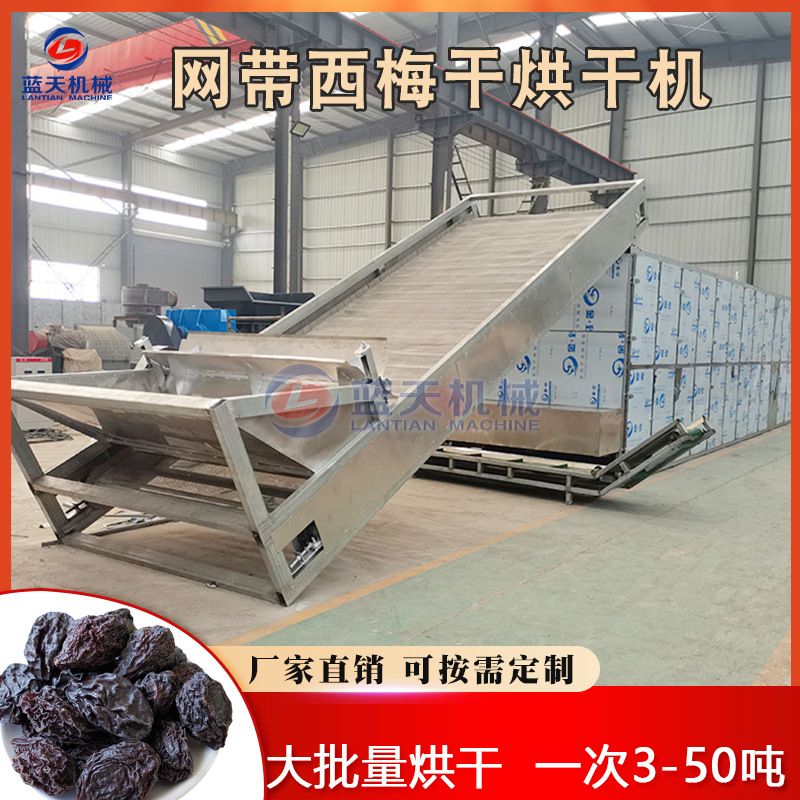 西梅干烘干机 全自动乌梅子清洗去核烘干线 网带无核西梅烘干设备