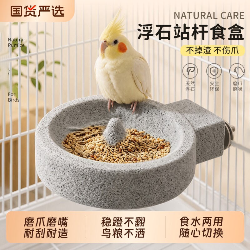 【鹦鹉浮石站杆食盆】磨爪喂食图片