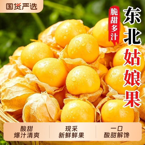 姑娘果东北特产整箱现摘包邮