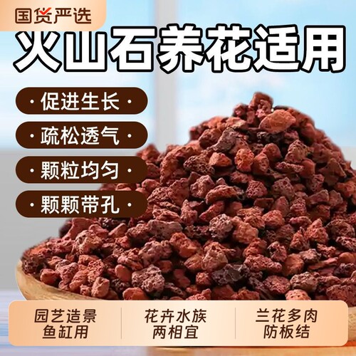 红火山石多肉颗粒土兰花植料