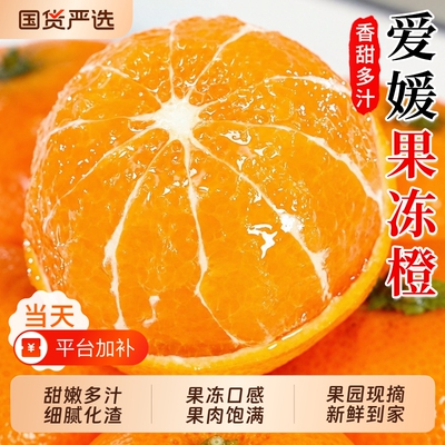 爱媛38号果冻橙大果散装