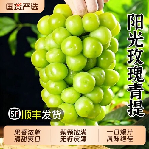 阳光玫瑰葡萄应当季新鲜水果非晴王无籽香印提子青提顺丰整箱精品