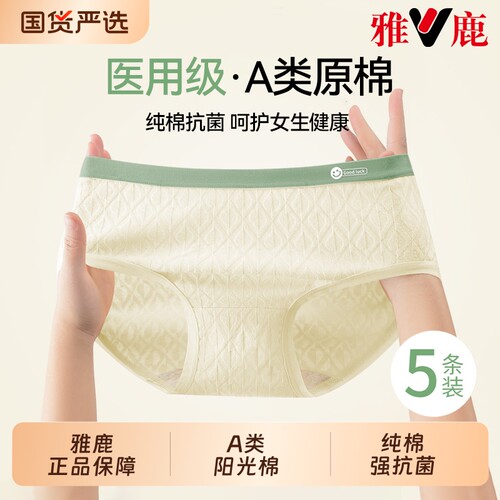雅鹿女士内裤纯棉7级a类抗菌