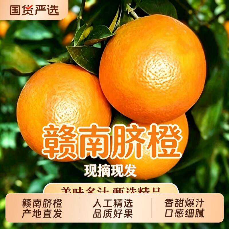 正宗江西赣南脐橙5斤当季水果10斤新鲜大果鲜橙橙子果园产地直发图片