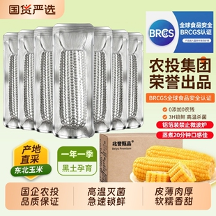 【农投】黄糯玉米240-280g*8根银箔装