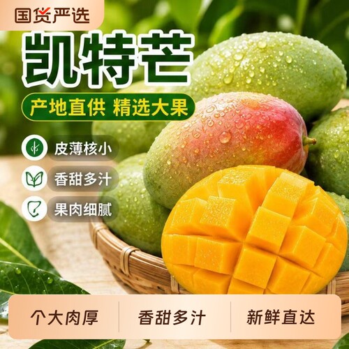 正宗攀枝花凯特芒果水果现摘现发大芒果整箱批发包邮大果
