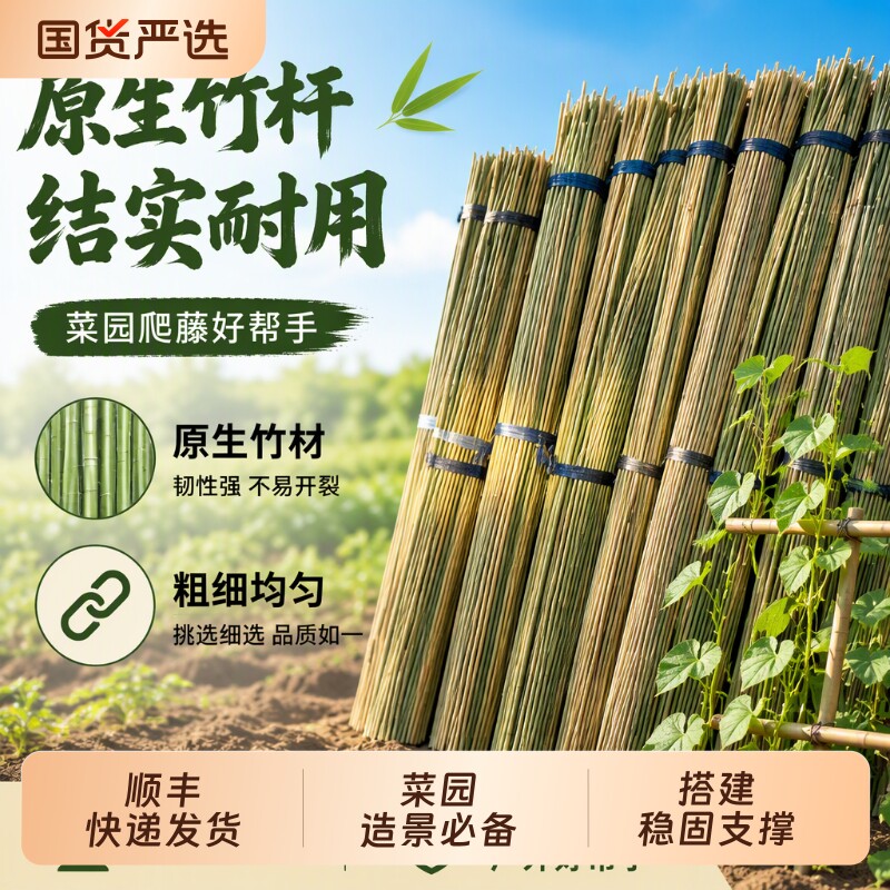 竹杆菜园架子蔬菜爬藤架杆竹篱笆围栏栅栏小竹子细竹杆爬藤架豆角