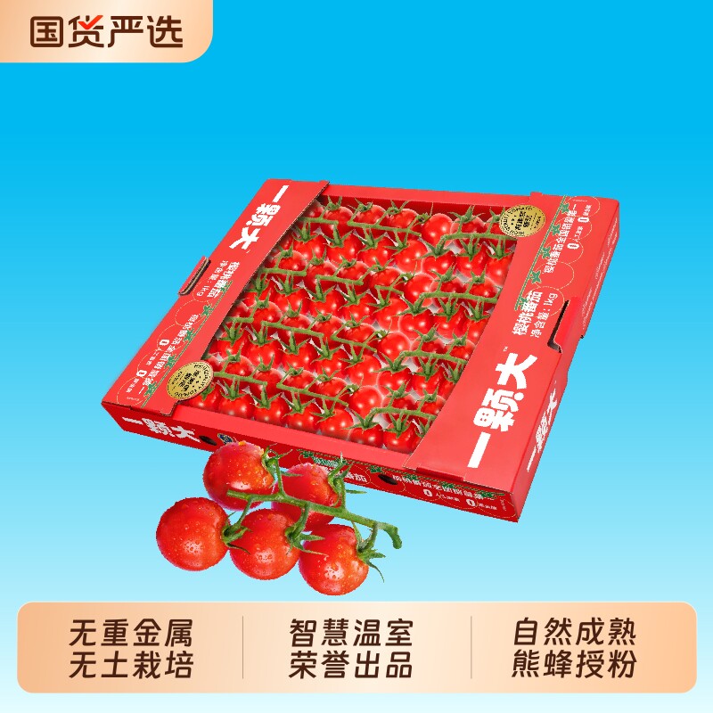一颗大樱桃串番茄小西红柿图片