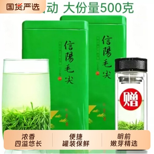 信阳毛尖明前新茶2026春茶正宗特级绿茶嫩芽尖浓香耐泡型罐装500g